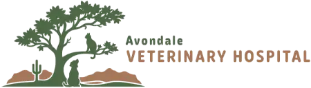 Avondale Veterinary Hospital