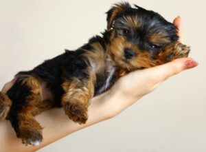Blog Images 11 1