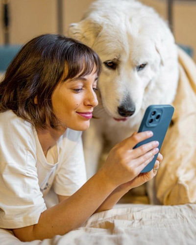 Vet Service